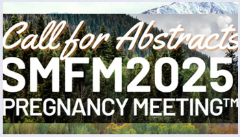 SMFM2025